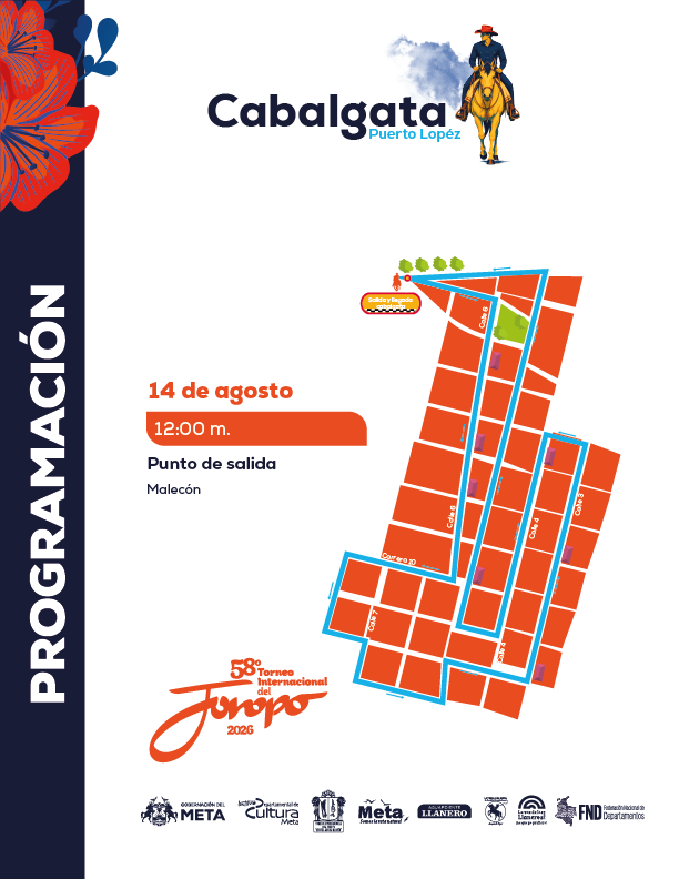 Programaci&oacute;n 5