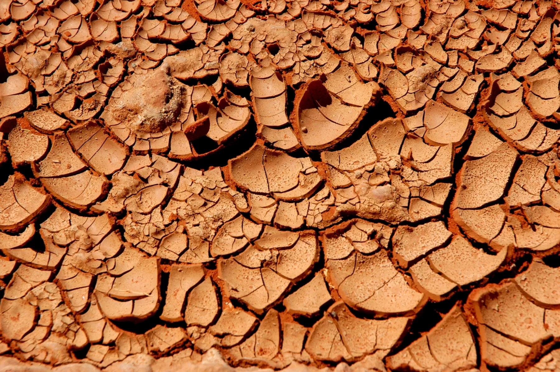 Presentan alianza Orinoquia, juntos frente al Cambio Climático.
