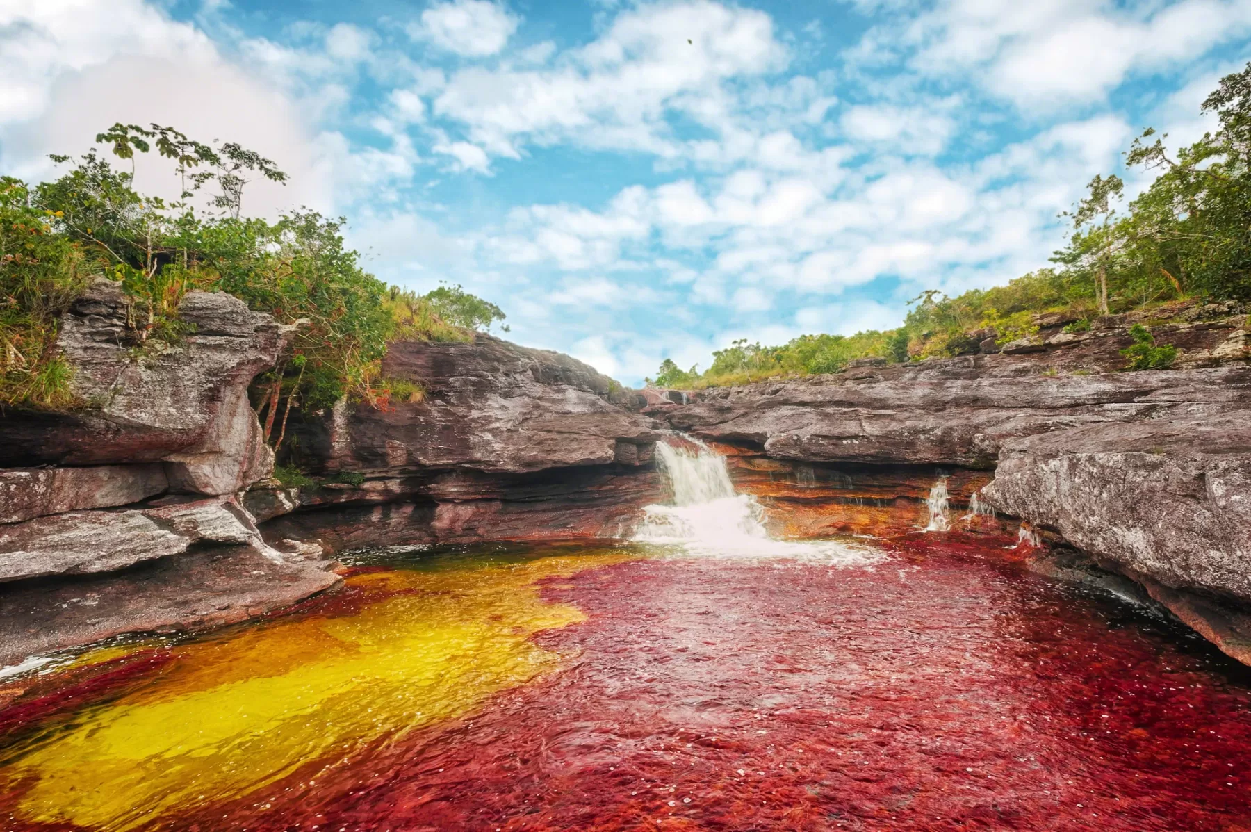 Por la temporada de sequía que se extiende por seis meses las autoridades ambientales del Meta cierran el acceso a Caño Cristales, en el municipio de la Macarena.