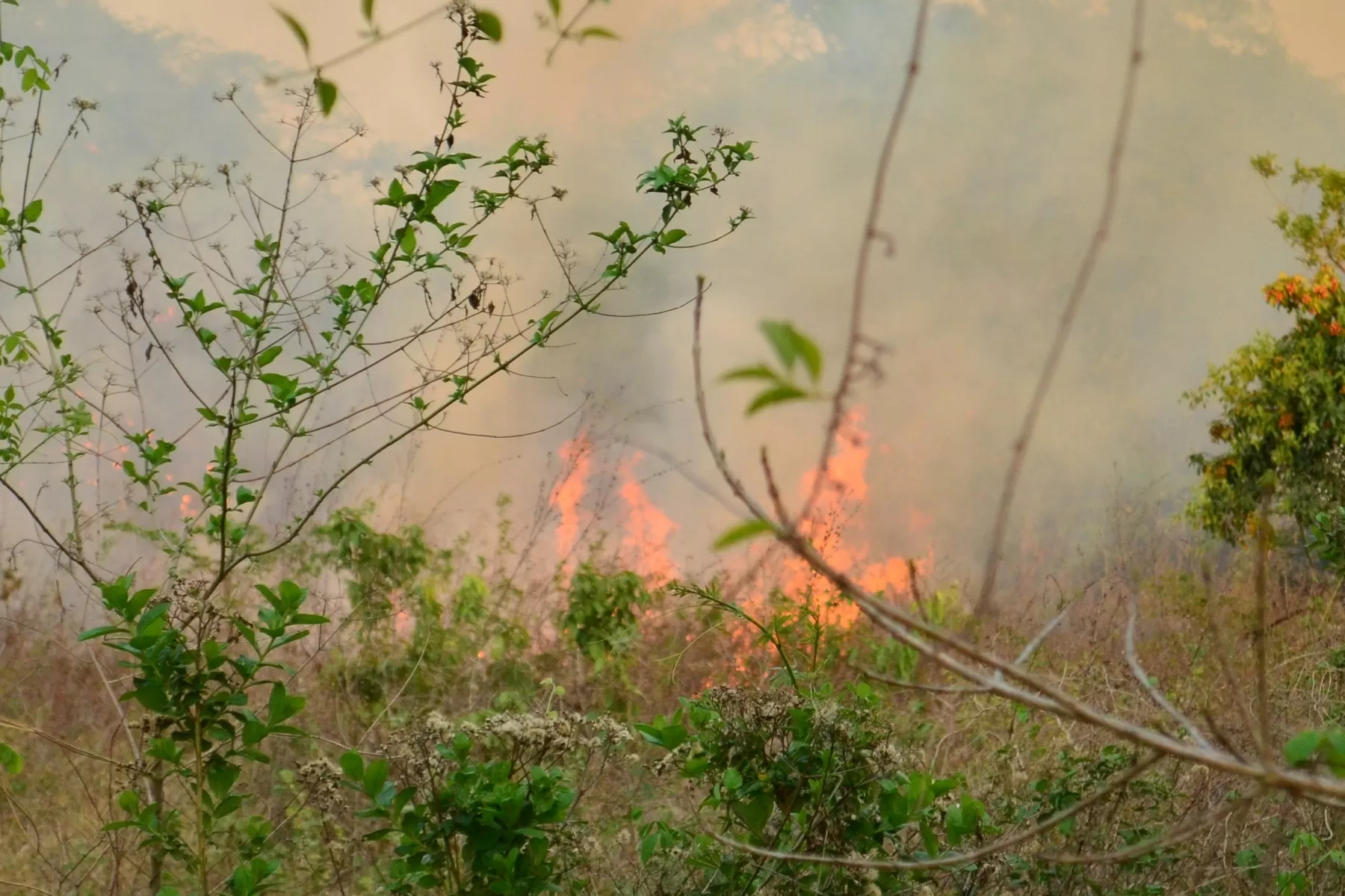 Colombia es considerado un territorio de climatología de tipo sabana caracterizado por una época seca y una época de lluvia.