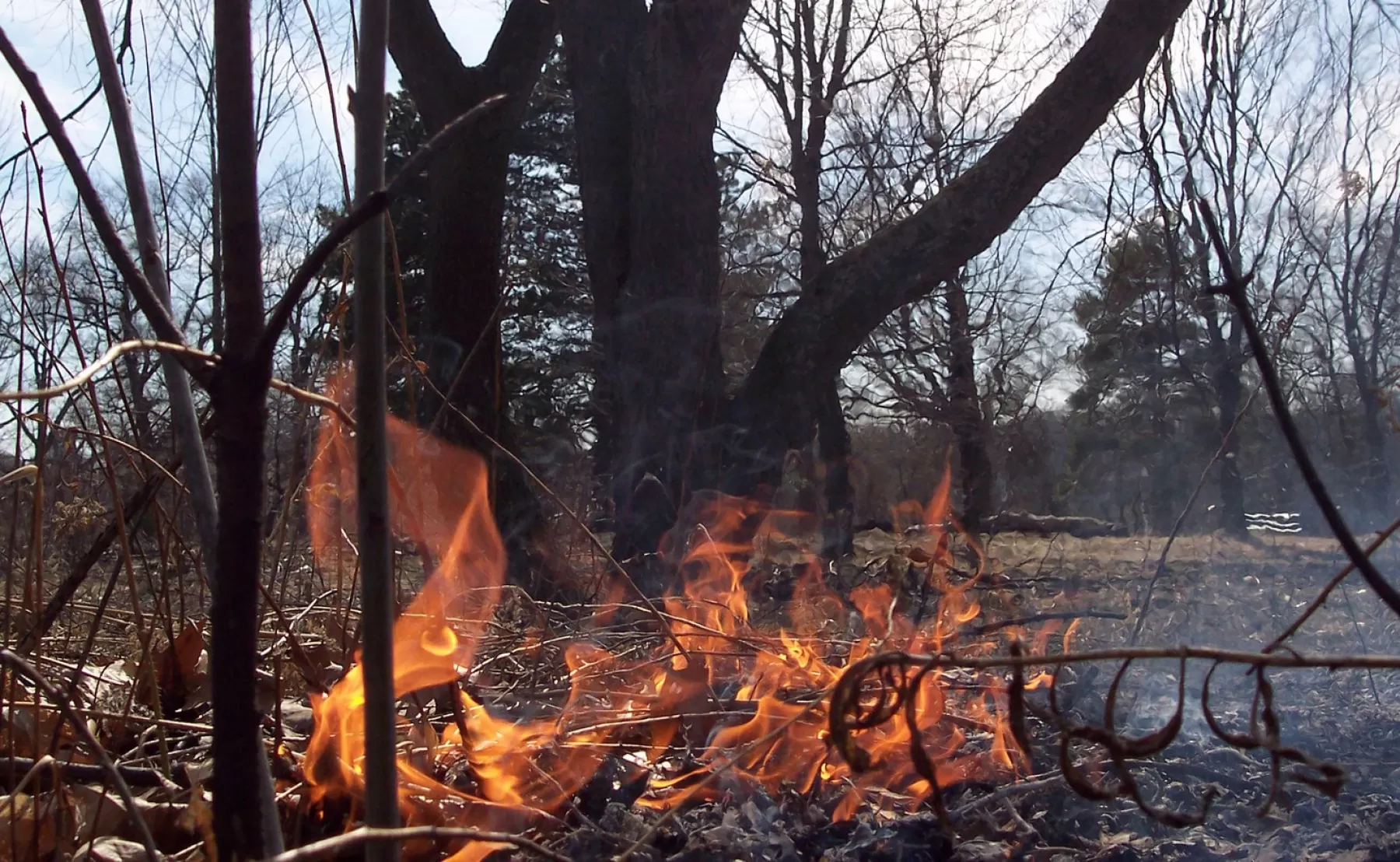 Alerta roja por incendios para el departamento de Arauca, en vista del incremento de la temperatura climática por cuenta del Fenómeno del Niño.