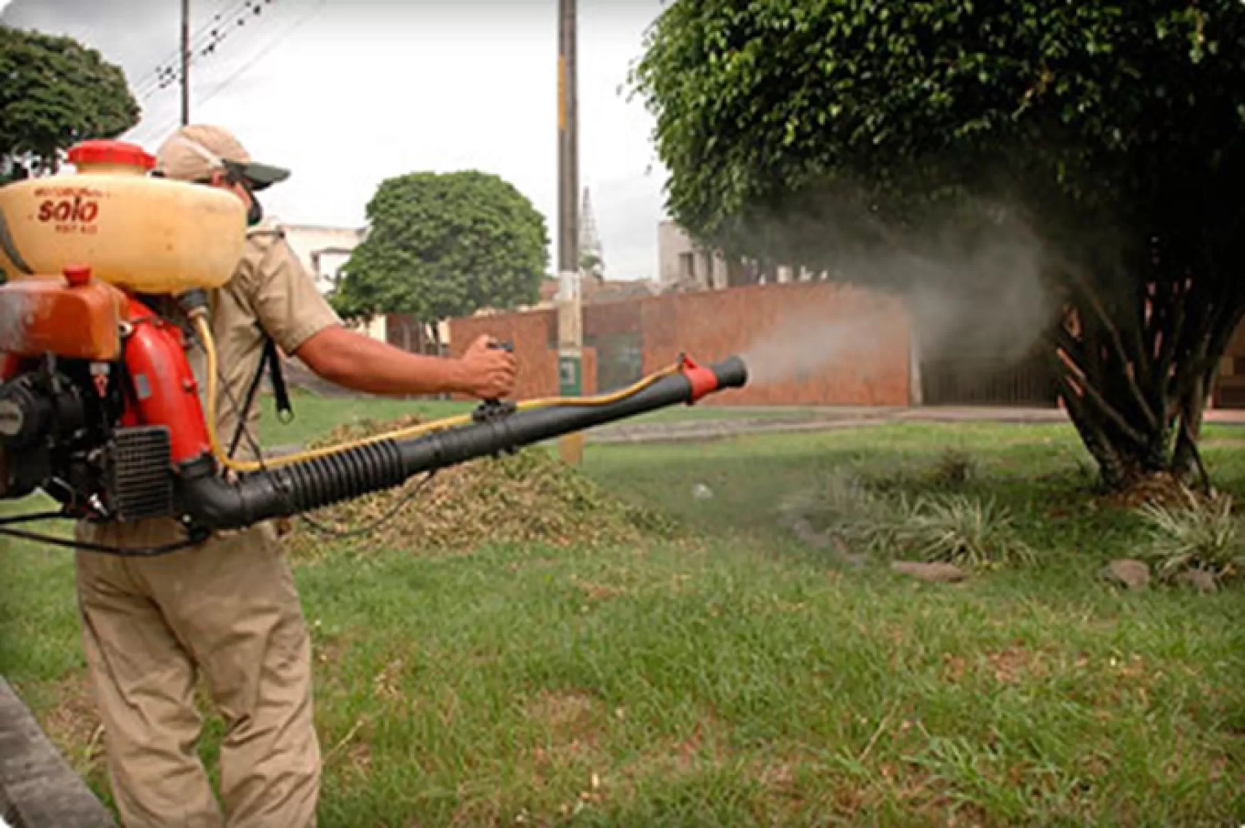 En Villavicencio, gobierno local pide que se tomen medidas preventivas para contrarrestar enfermedades como el zika, dengue y chikunguña.