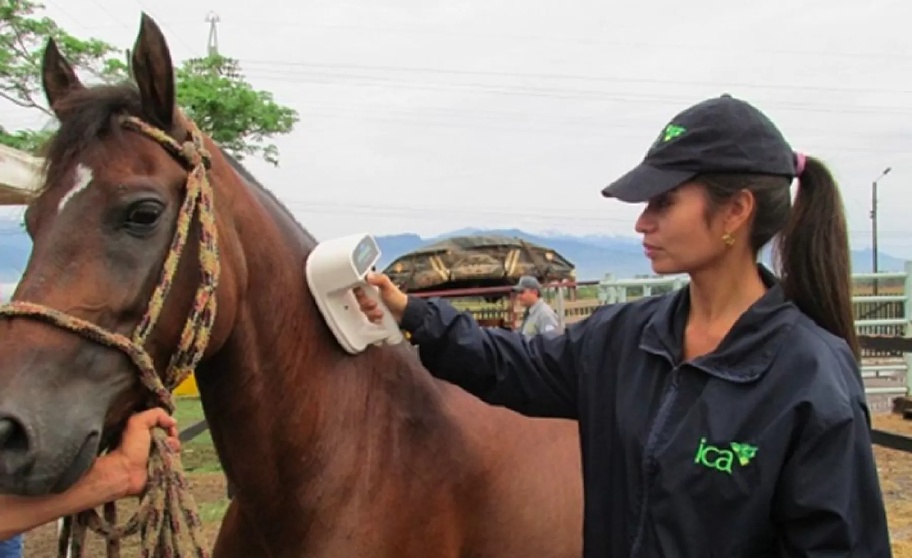 Continúa vacunación para evitar proliferación de encefalitis equina en Villavicencio