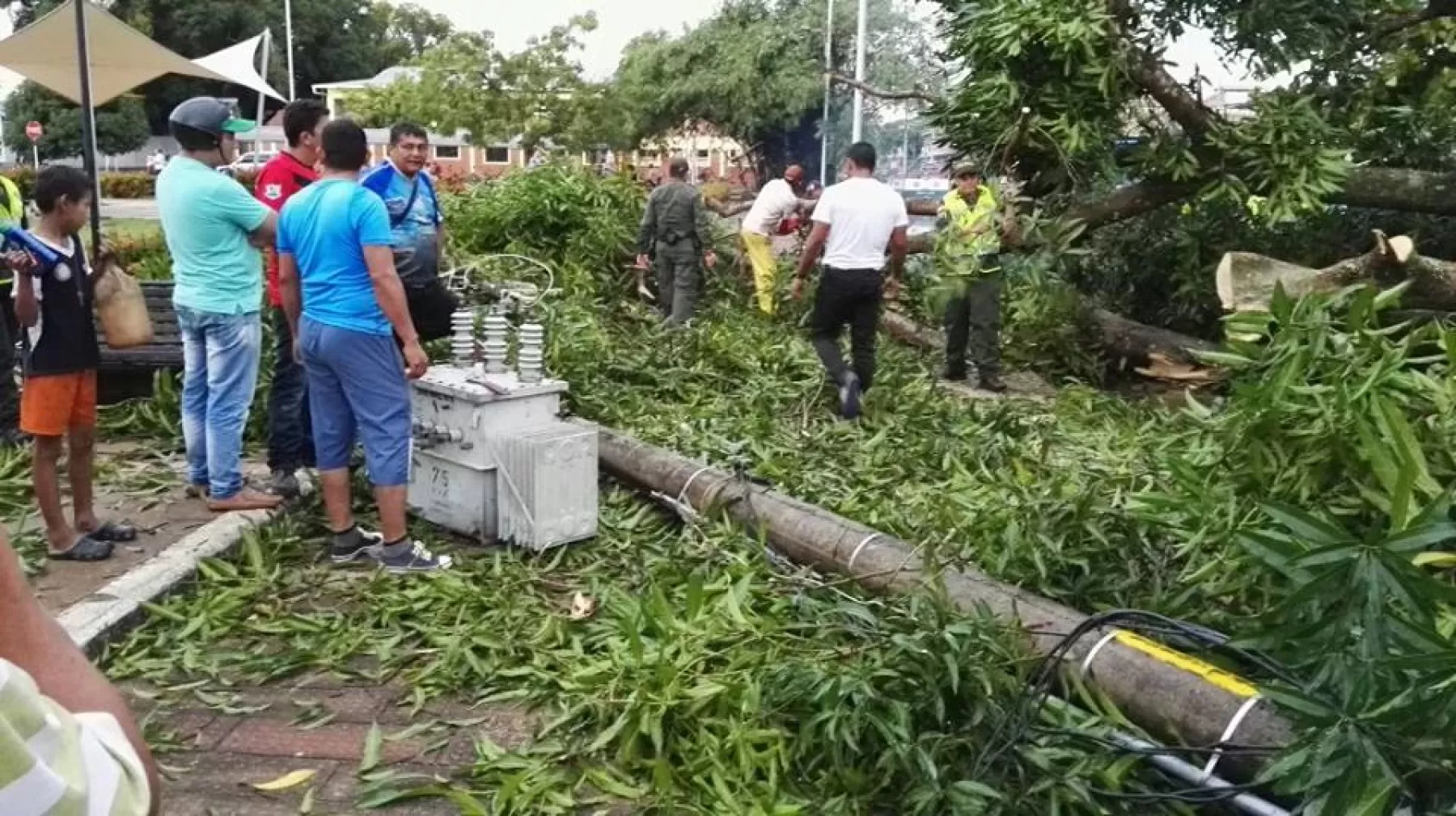 Los fuertes vientos de un vendaval derribaron árboles que afectaron viviendas y redes electricas en Puerto Carreño, Vichada. Foto: Marcos Pérez.