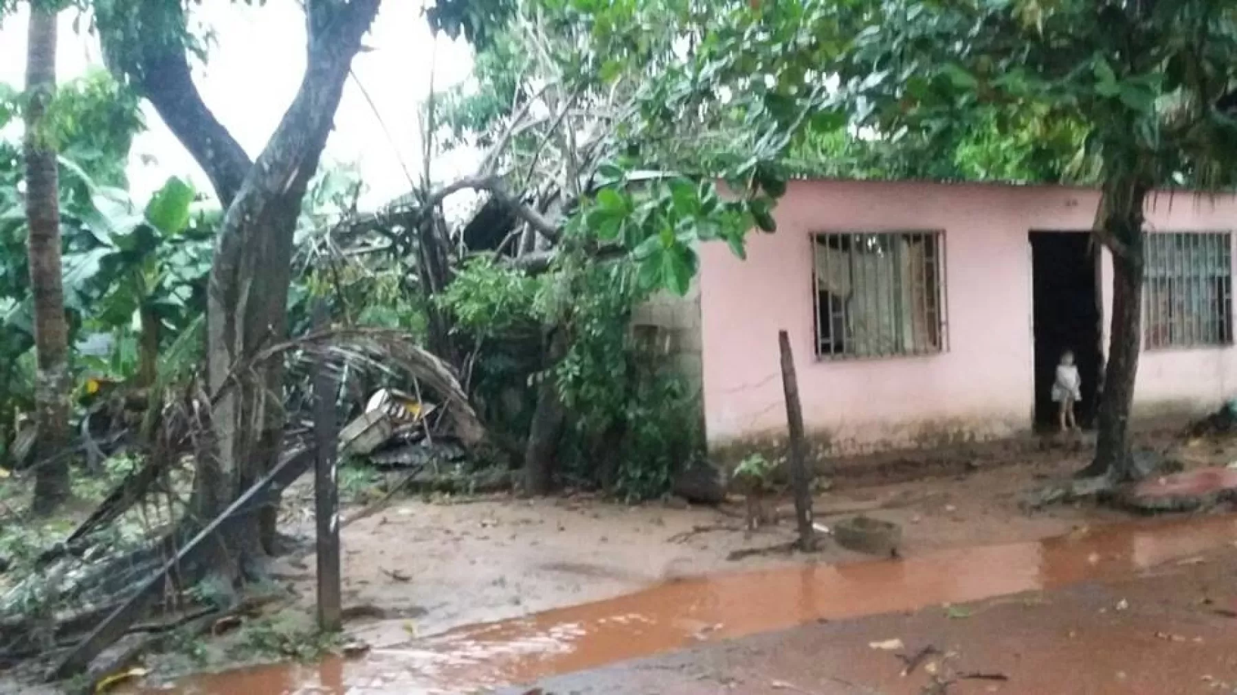 Viviendas afectadas por los fuertes vientos en Puerto Carreño, Vichada. Foto: Marcos Pérez