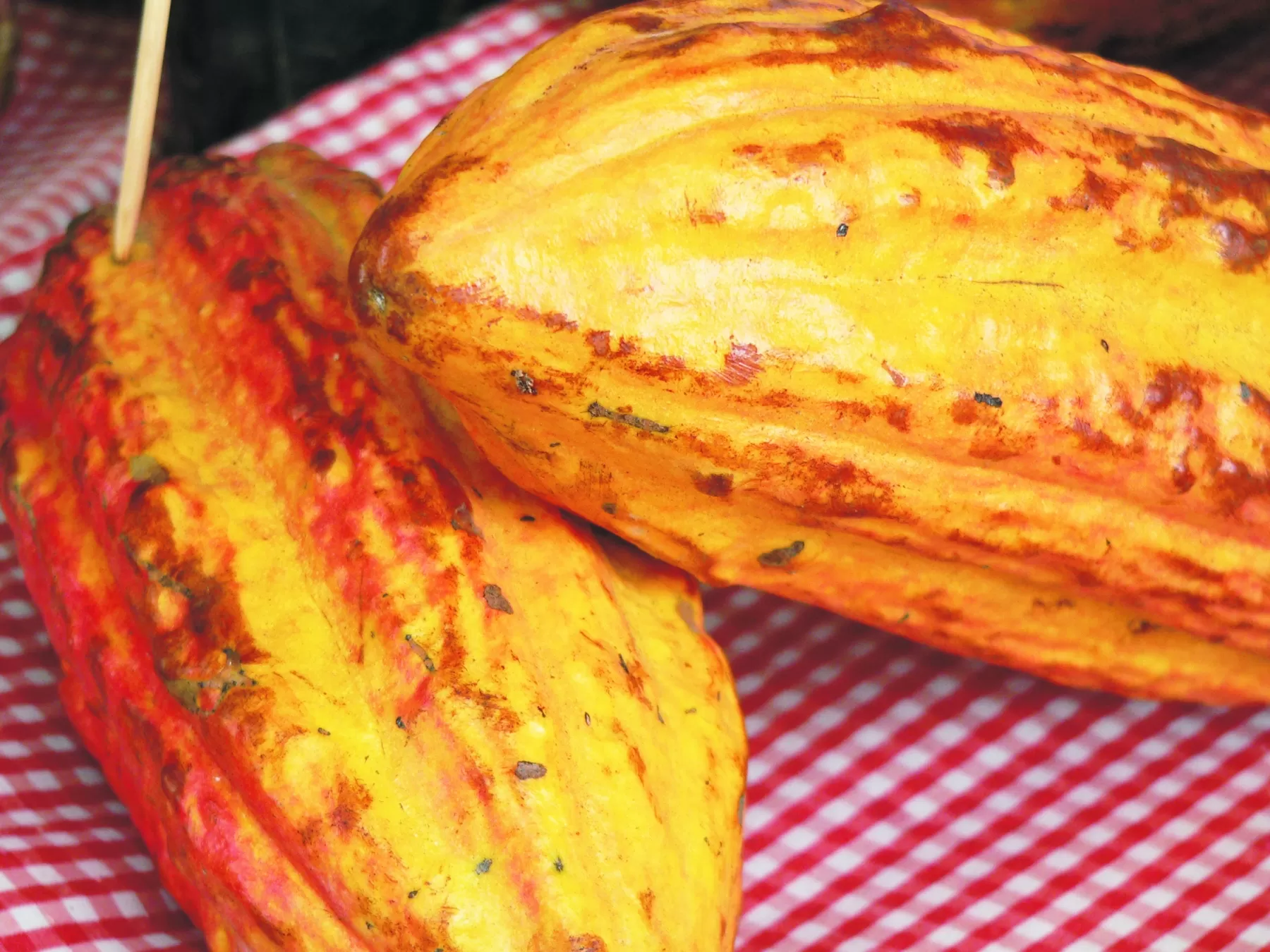 Con cacaos producidos en las fincas "La Perla" y el "Cairo", ubicadas en el municipio de Tame, en el departamento de Arauca, Colombia participará en el Salón del Chocolate en París 2017.