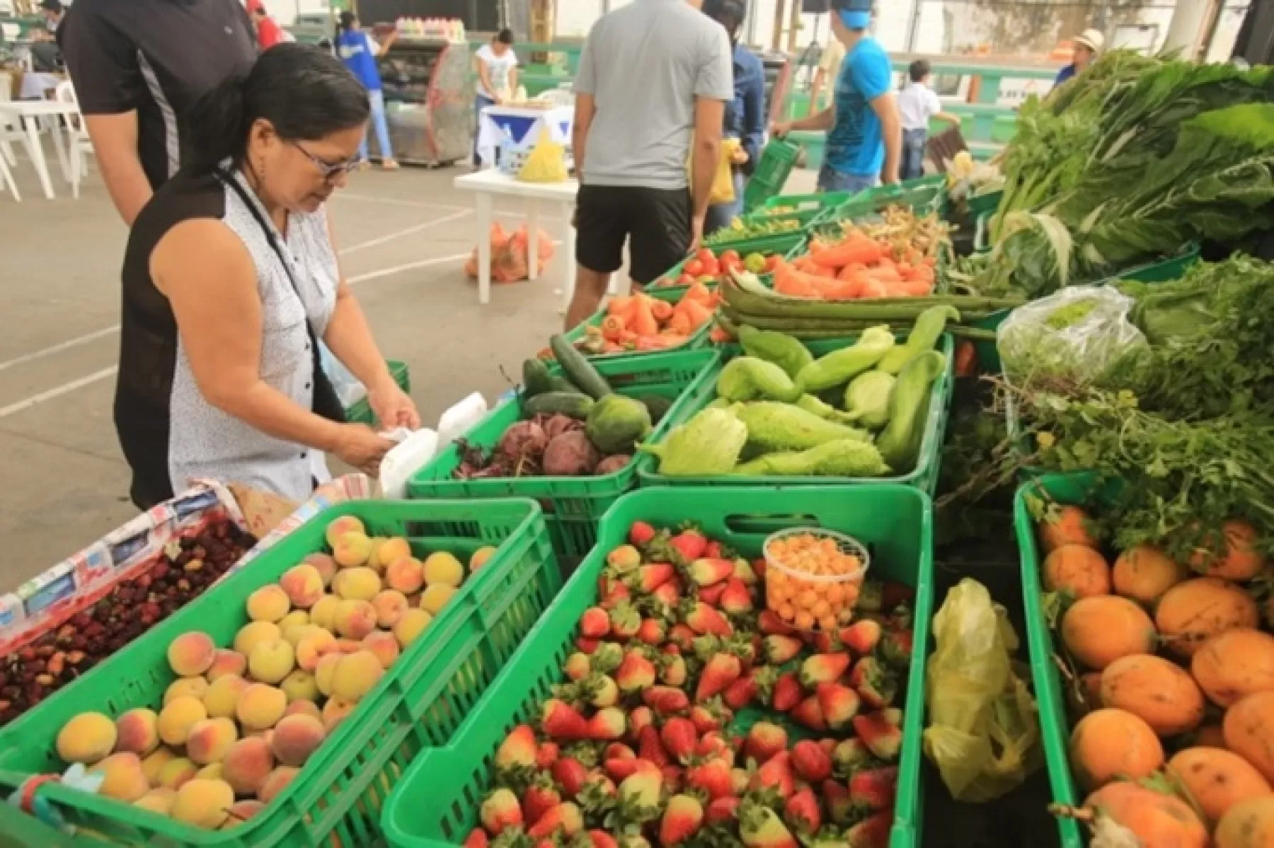 Los pequeños productores del sector rural de Villavicencio podrían tener la posibilidad de comercializar sus productos con el Almacén Éxito .