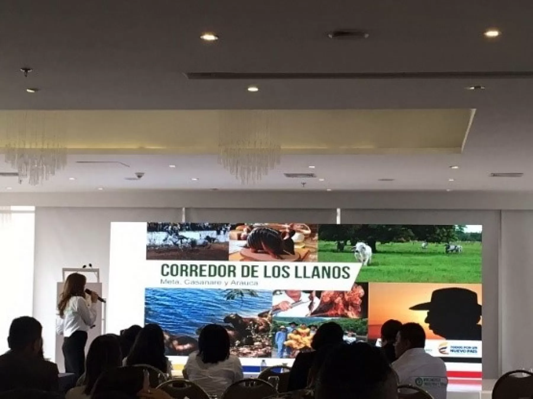 Capacitación para los prestadores de servicios turísticos, cursos técnicos para guías turísticos y el alineamiento con el Ministerio de Industria, Comercio y Turismo para mitigar la explotación sexual y comercial de niños en Villavicencio.