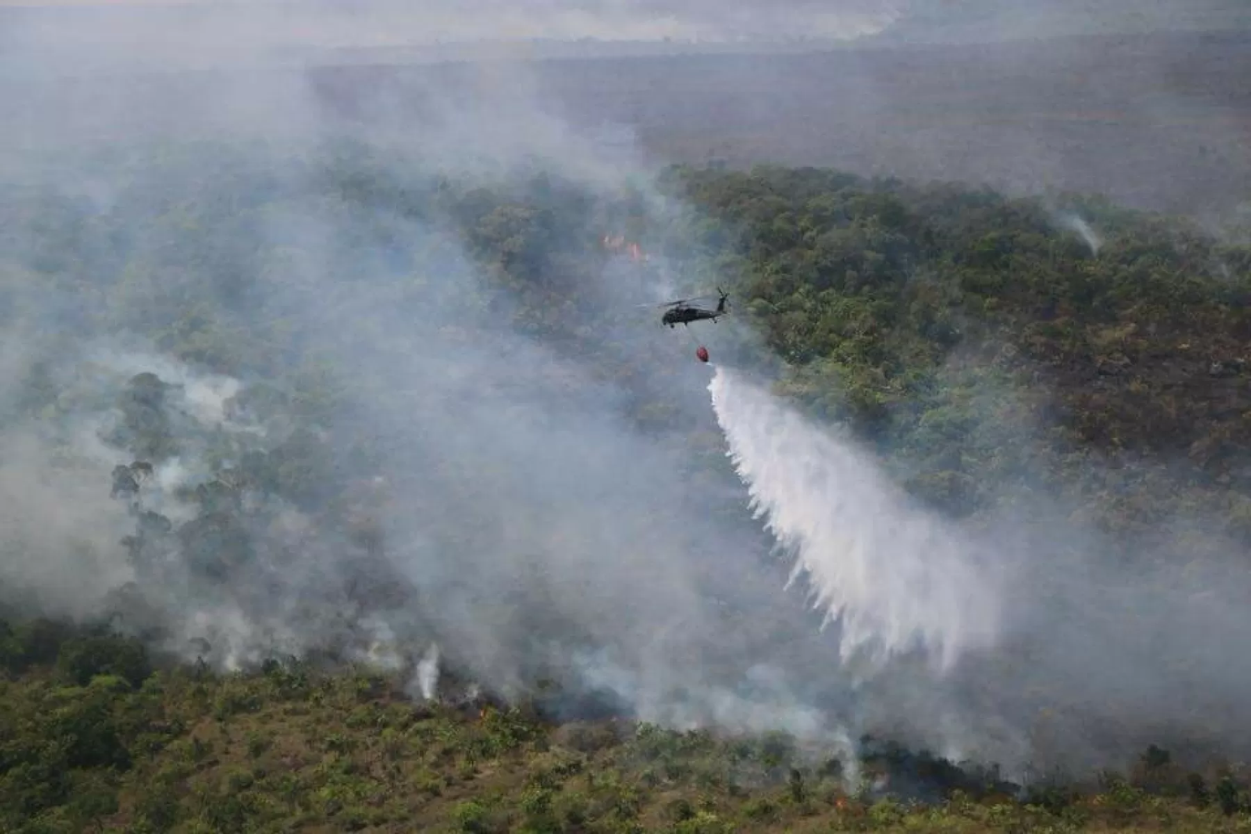De la serranía de La Macarena afectó aproximadamente 1600 hectáreas, quemando vegetación de tipo rupícola o rupestre.