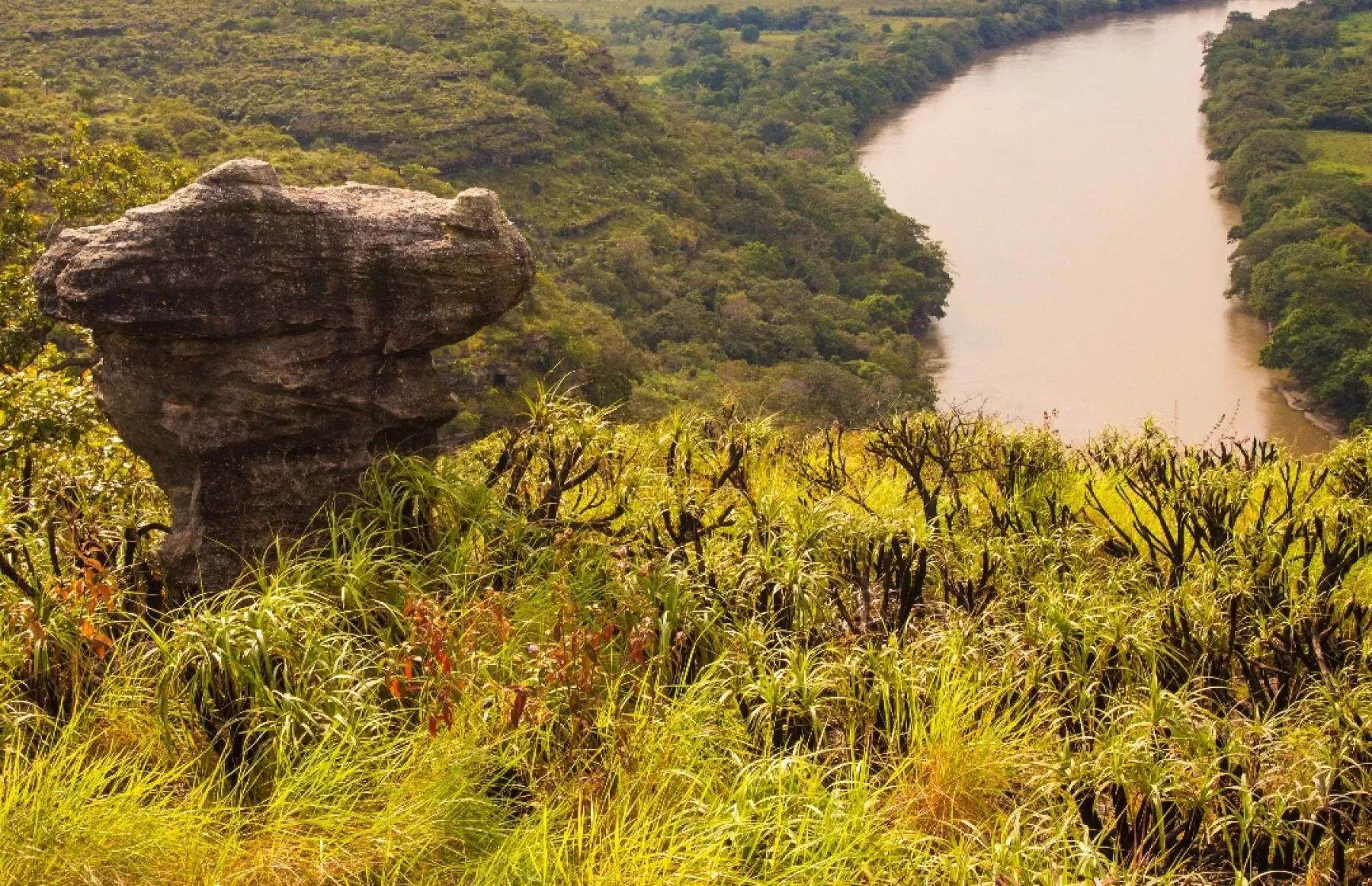 Actividades como fotografía, contemplación de naturaleza, navegación por el río Guayabero, observación de pinturas rupestres y petroglifos, así como observación de flora y fauna silvestre se pueden realizar en la zona.