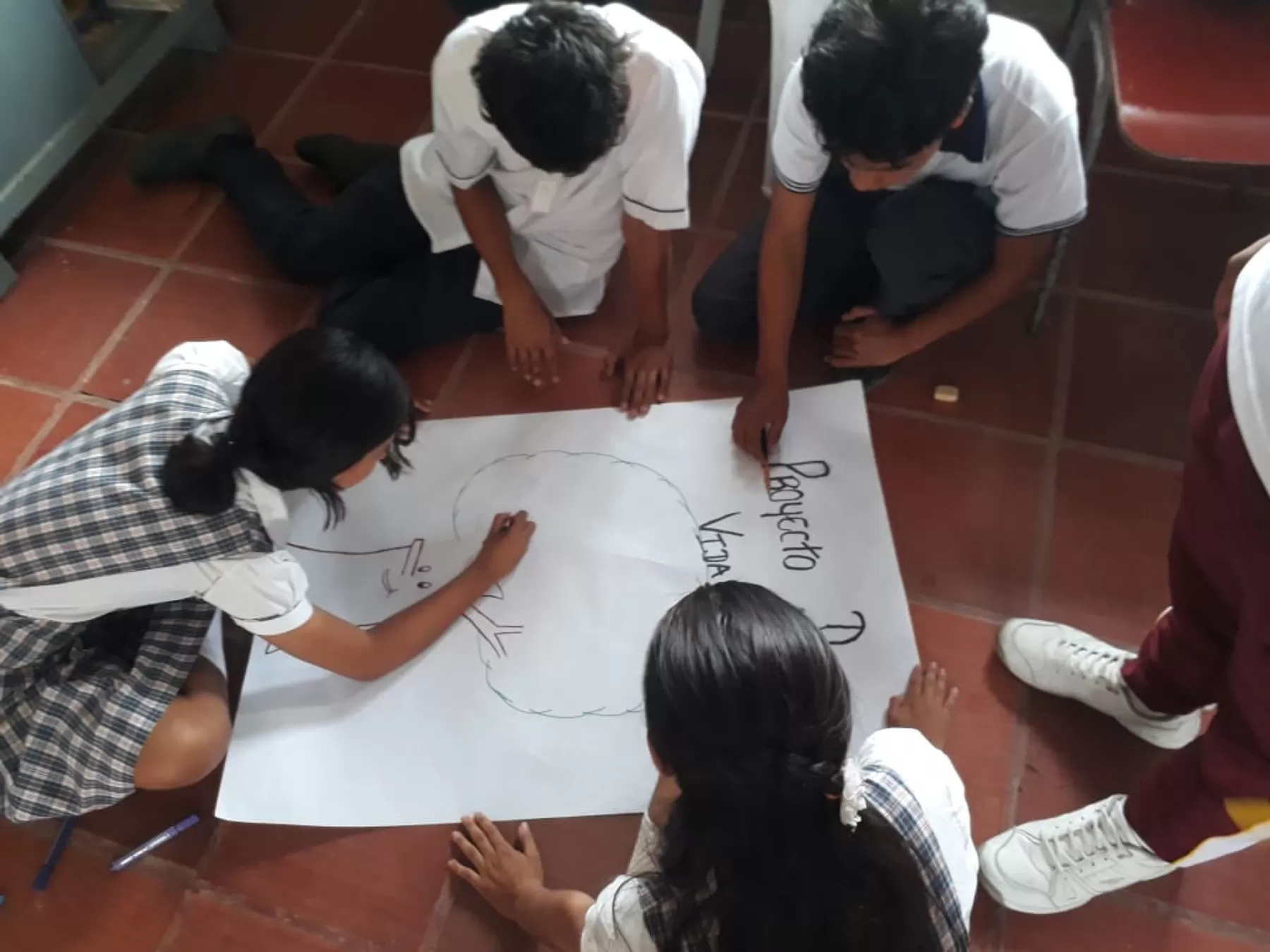 Promoción de derechos sexuales y reproductivos, la equidad de género, el fortalecimiento de servicios amigables y la prevención del embarazo adolescente y las infecciones de transmisión sexual en población estudiantil