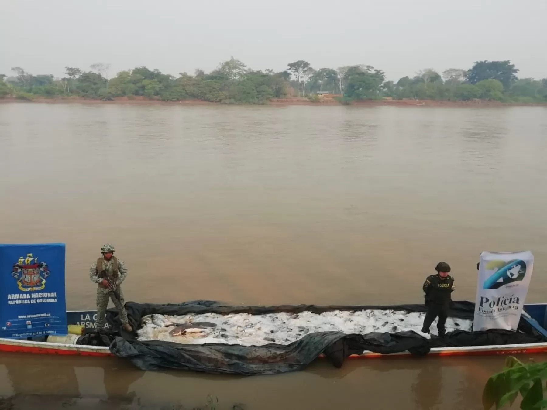 Las autoridades incautaron tres mil kilos de pescado de procedencia venezolana, el cual no cumplía con lo estándares sanitarios para el consumo.