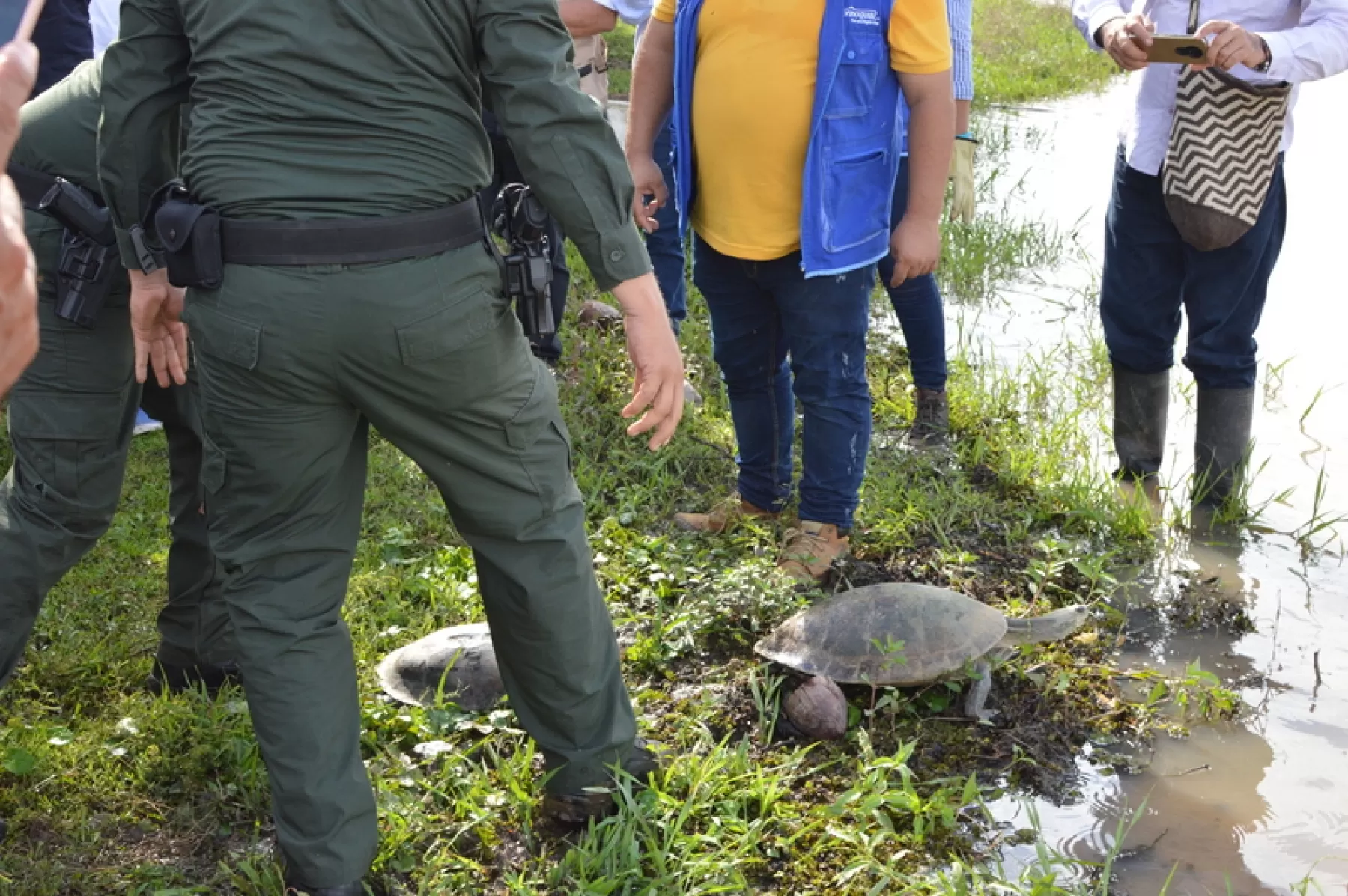 Liberación de 211 ejemplares de fauna silvestre en San Luis de Palenque en Casanare.