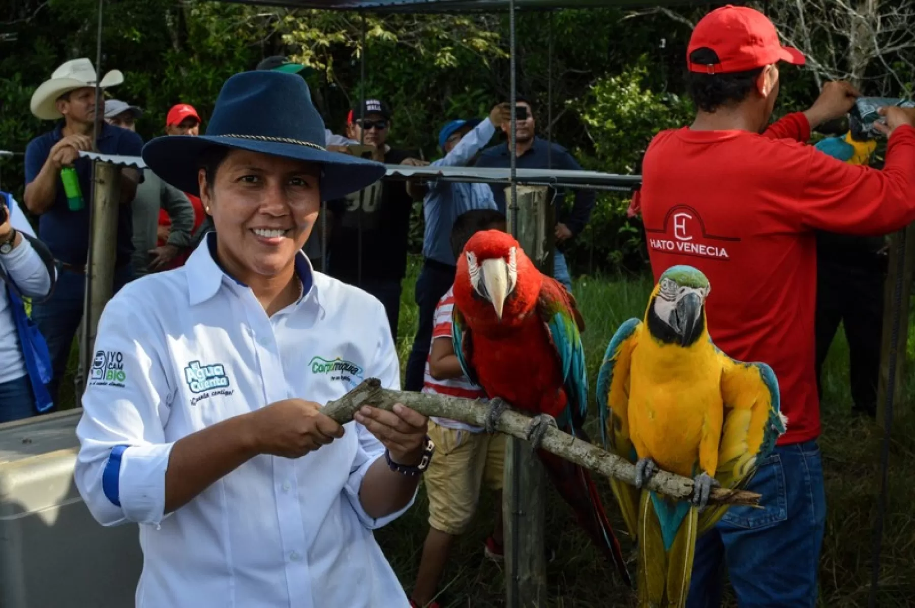 Liberación de 211 ejemplares de fauna silvestre en San Luis de Palenque en Casanare.