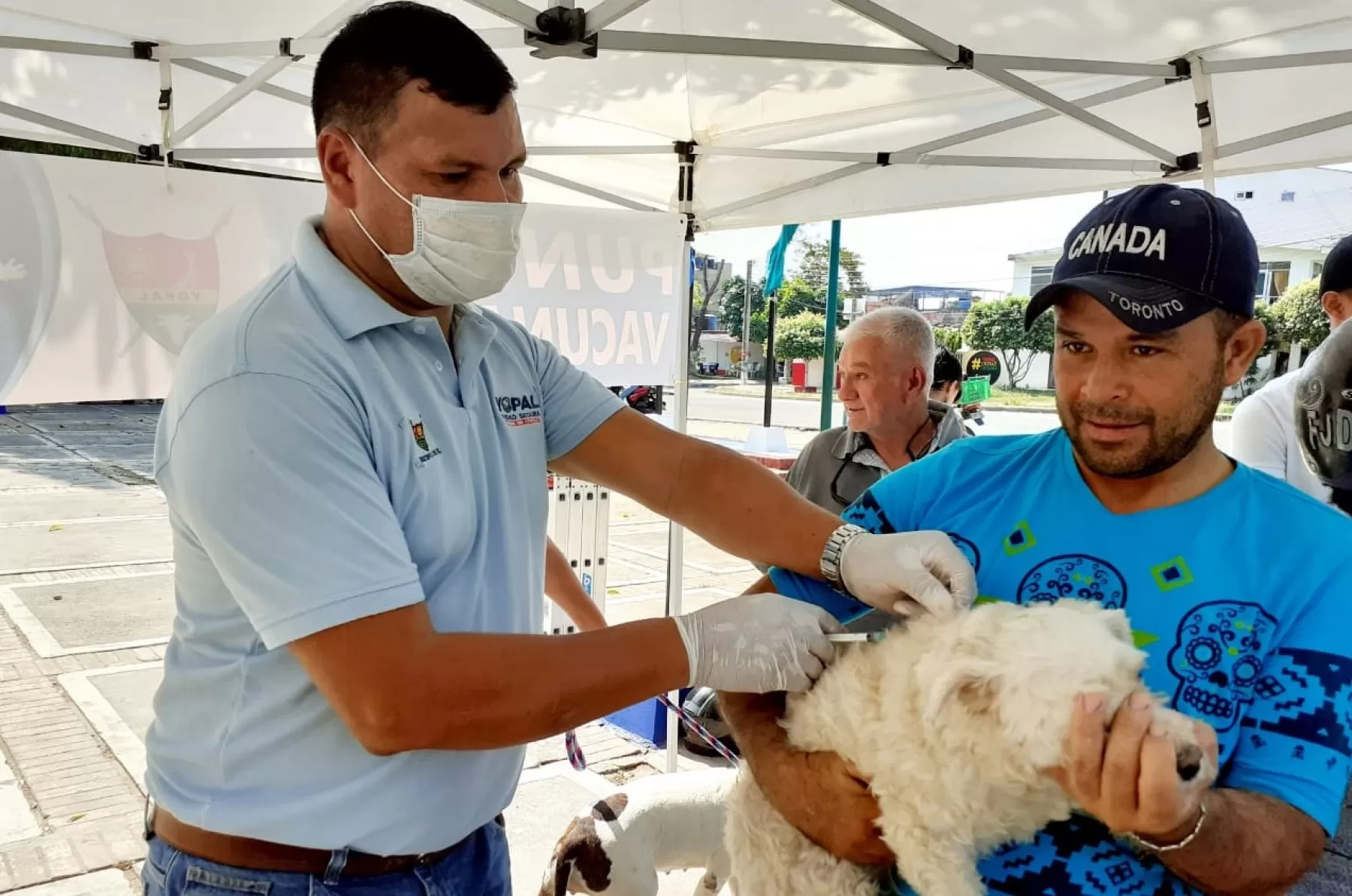 Durante dos días continuos, la Secretaría de Salud Municipal de Yopal, logró vacunar un total de 392 mascotas.