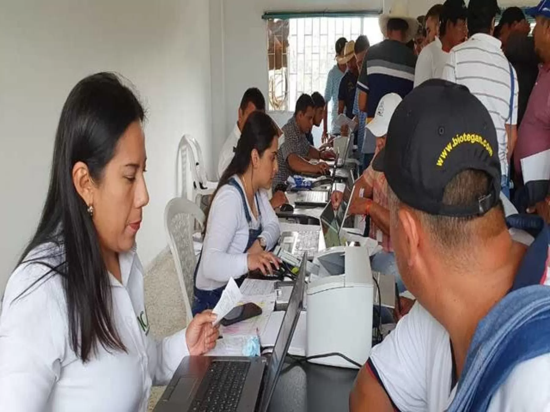 El número de guías expedidas se ha incrementado en cada punto de servicio al ganadero o se ha mantenido estable, adema en Arauca se han identificado 13.196 bovinos y bufalinos.