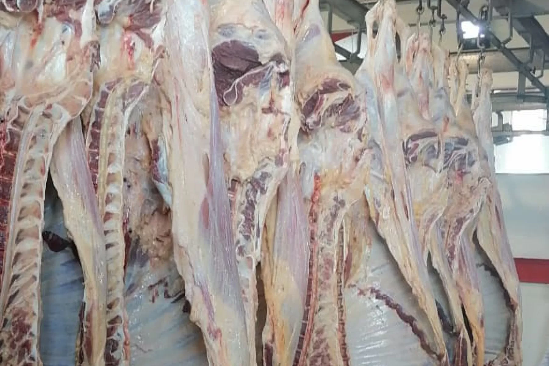 Cerca de 1.000 kilos de carne fueron donados por diferentes productores del municipio