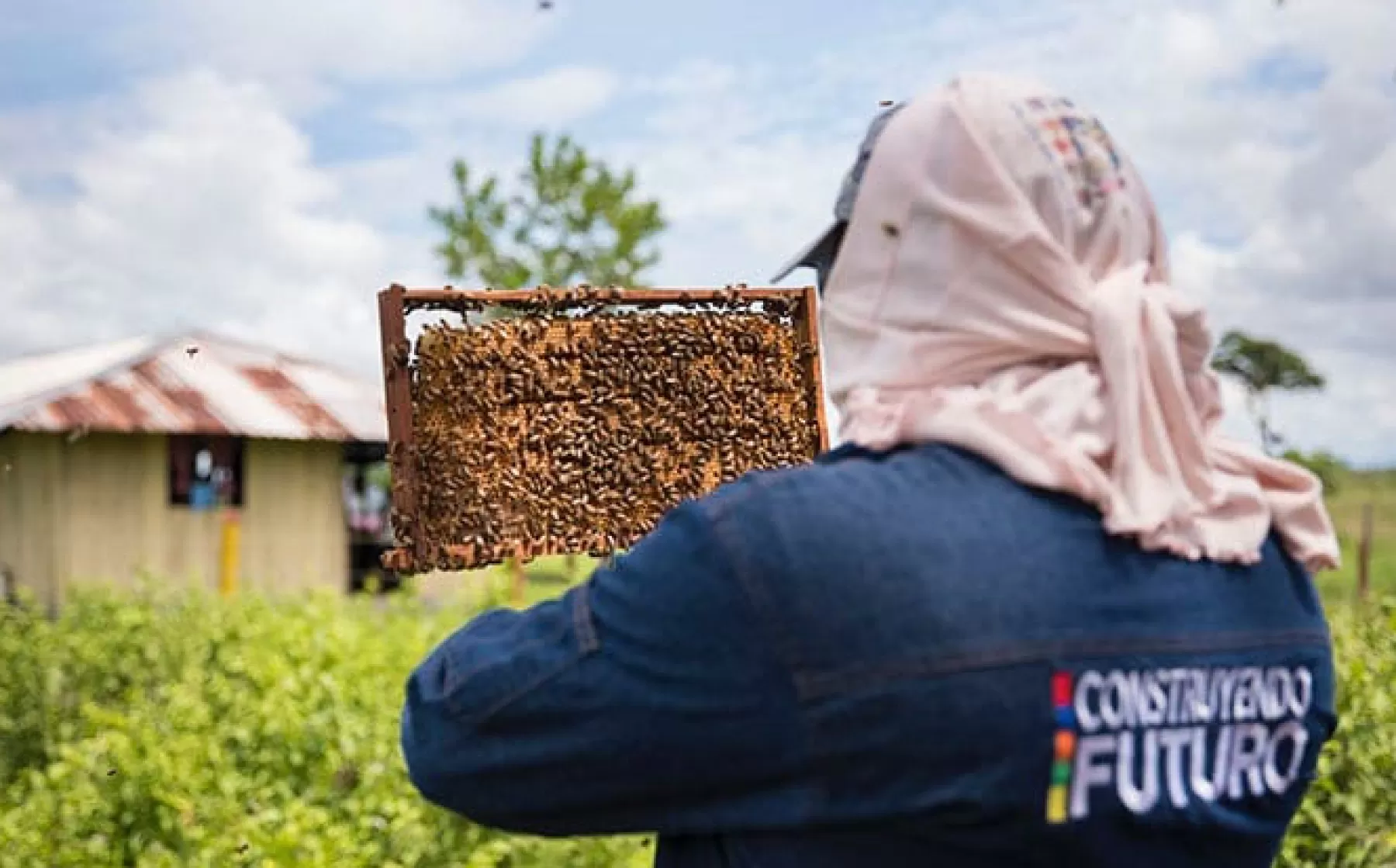 La producción de café, plátano, leche han sido desde siempre la bandera en cuanto a importación se refiere en el municipio de Tame pero la miel se suma a estos productos que marcan la pauta a nivel nacional y ahora internacional.