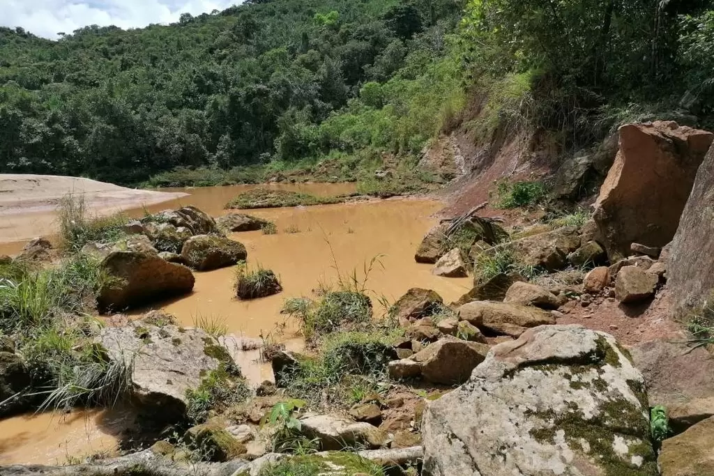 Se está evaluando la cobertura vegetal y las potencialidades ambientales para posible adquisición.
