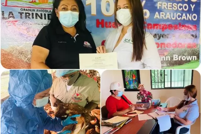 ICA certificó granjas avícolas bioseguras en Arauca