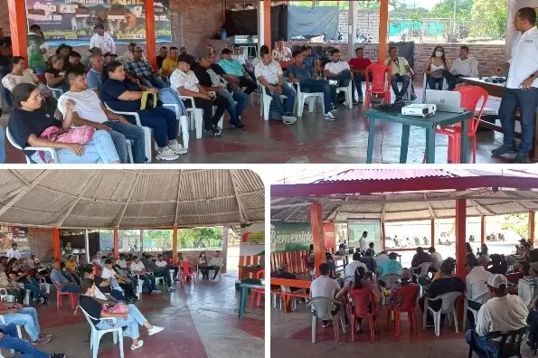 Arauca se prepara para el 2do ciclo de vacunación contra aftosa