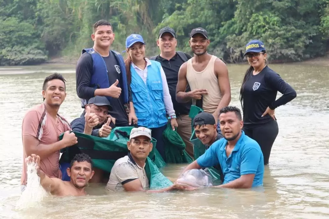 Corporinoquia lidera rescate de delfín rosado en peligro en el río Arauca.