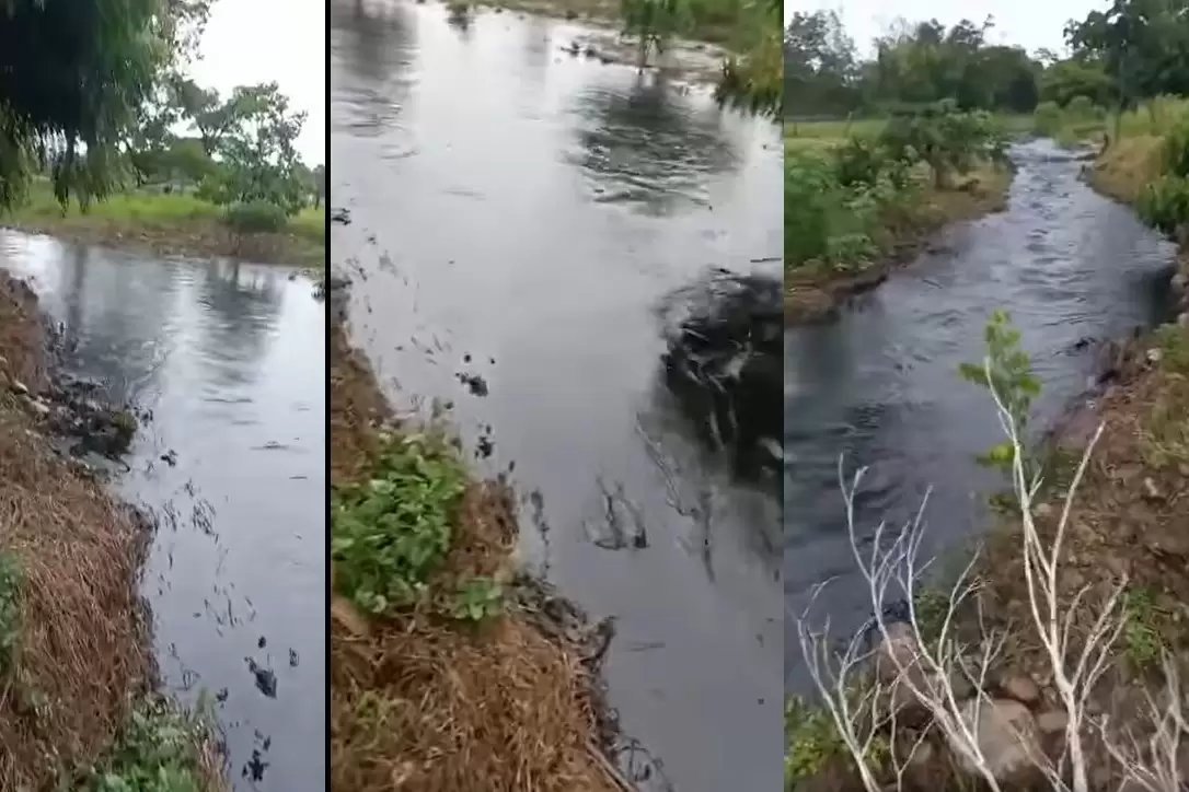 Pobladores de la zona rural de Saravena preocupados por desastre ambiental ocasionado por atentado al oleoducto.