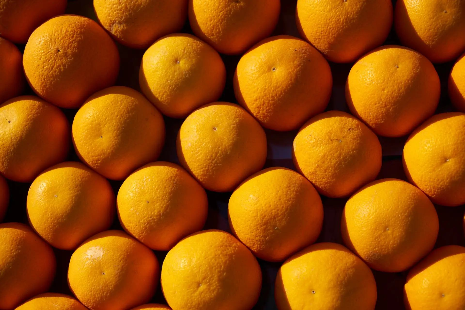 Procuraduría General de la Nación abre investigación disciplinaria en Arauca por contrato de producción masiva de naranja.