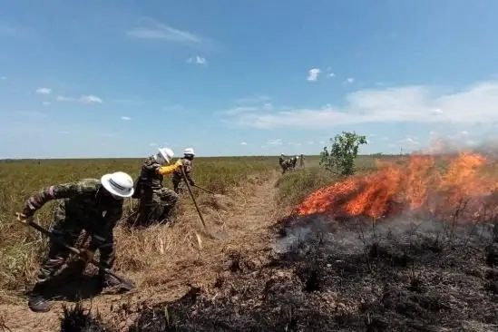 Reactivación del incendio forestal en el Parque Nacional El Tuparro preocupa al Vichada.
