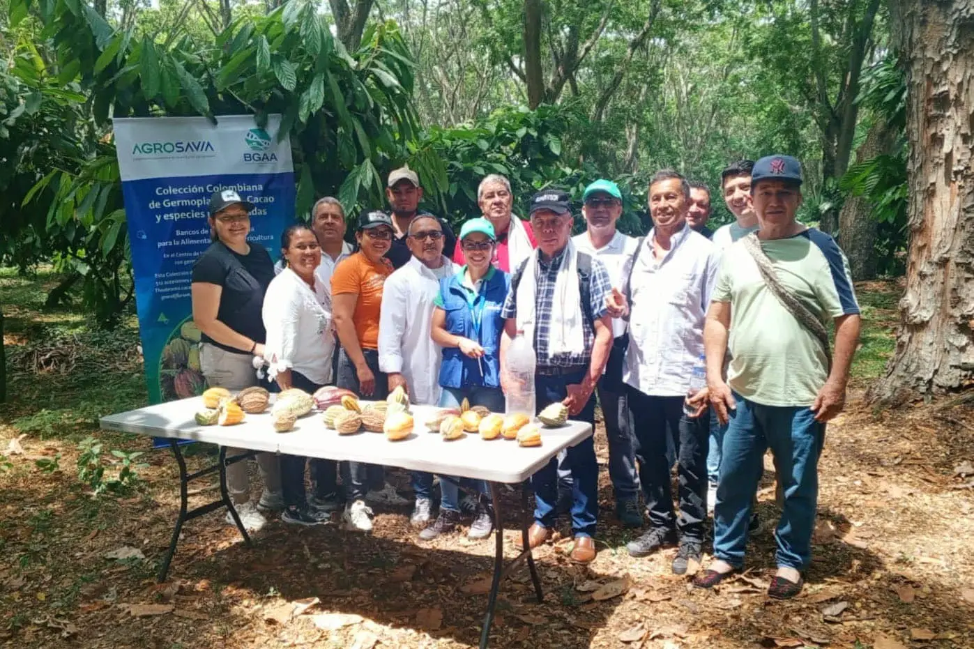 Cacaocultores de Arauca se fortalecen con tecnología e innovación para mejorar la producción de chocolate