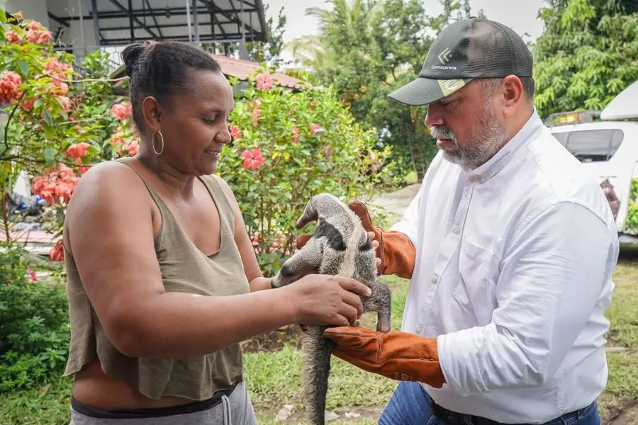 El animal, de aproximadamente un mes de nacido, fue hallado por trabajadores del sector