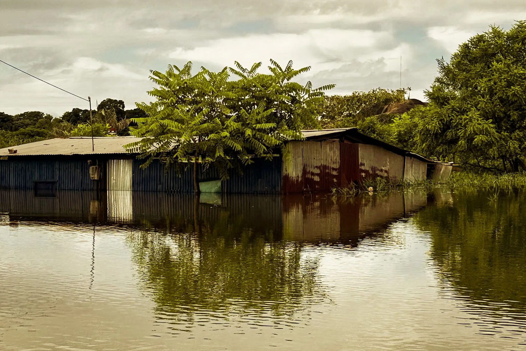 Foto: alcaldía de Puerto Carreño.