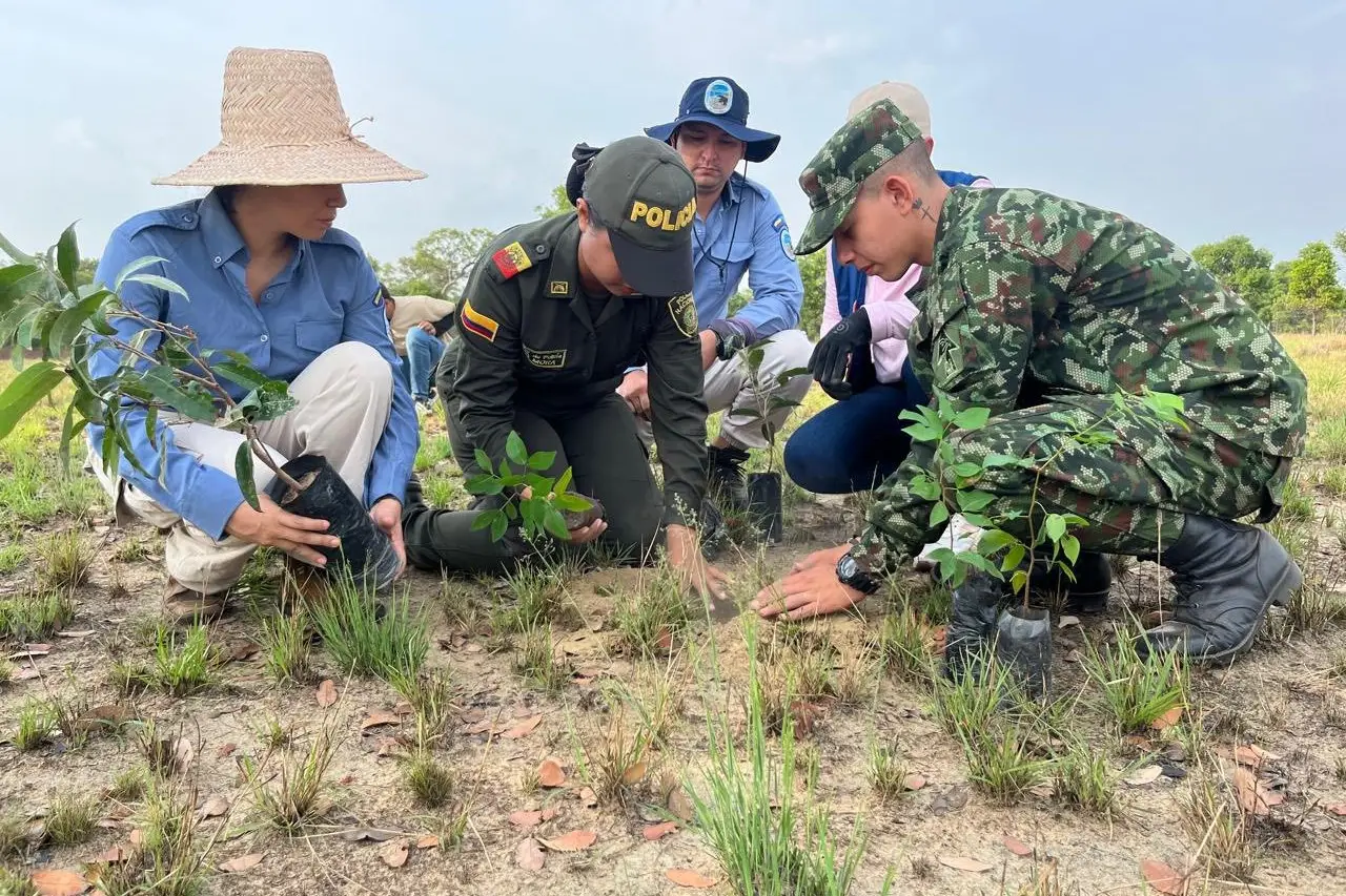 Jornada ambiental en Puerto Carreño donde autoridades y comunidad participaron en la siembra de árboles nativos en el predio Los Robles.