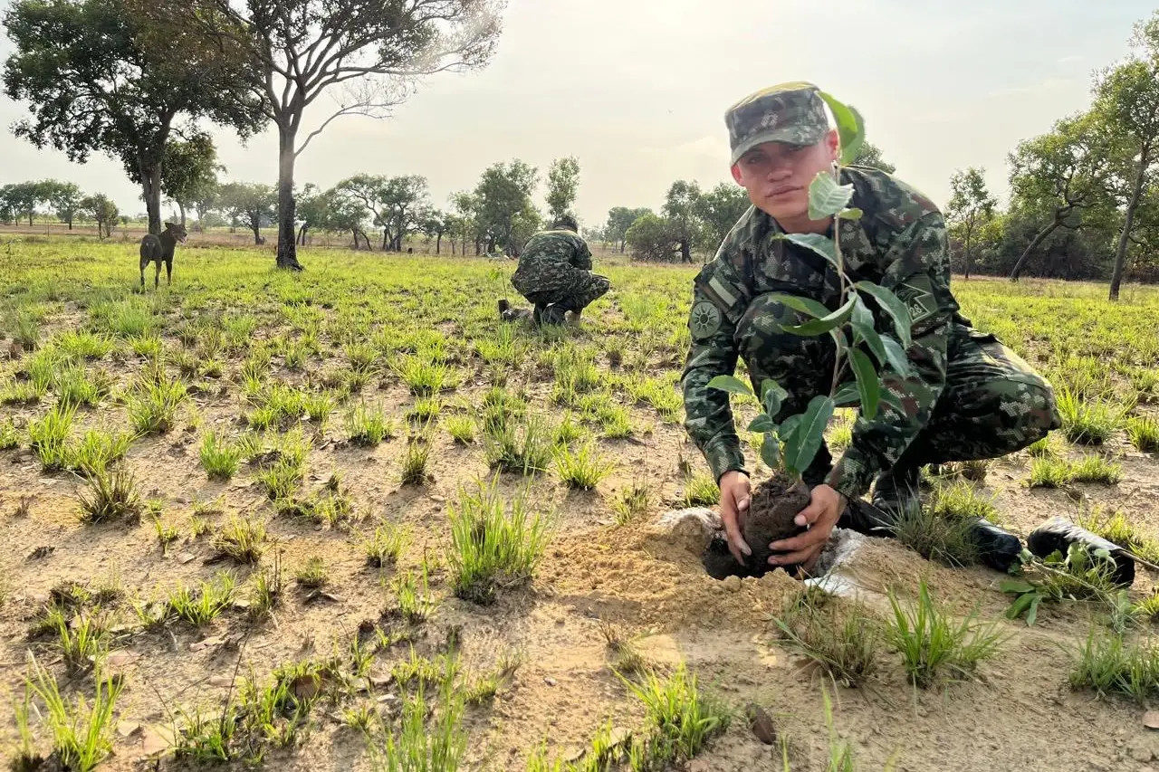 Funcionarios, fuerza pública y organizaciones ambientales unieron esfuerzos para sembrar 200 árboles y restaurar ecosistemas en Vichada.