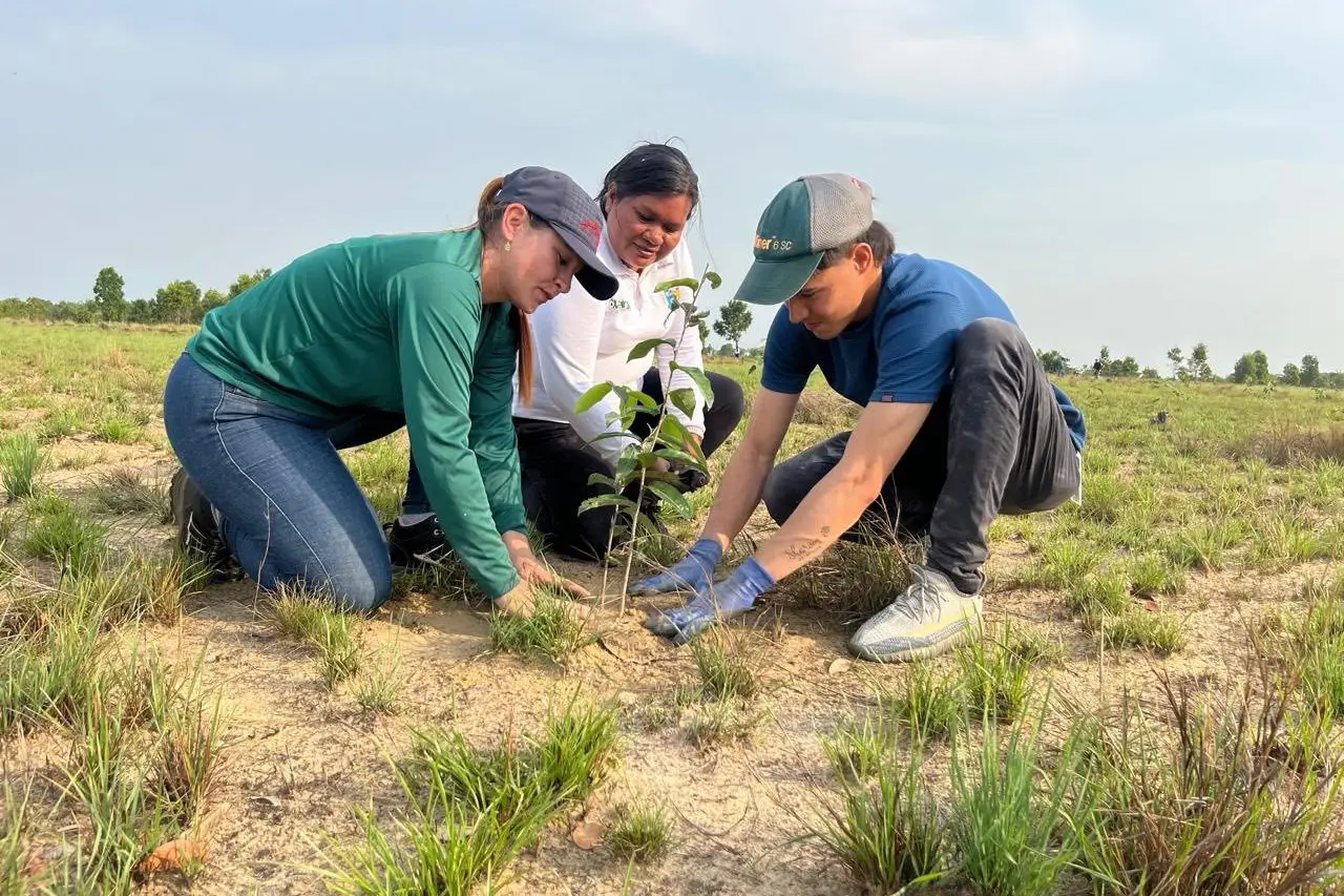 Especies nativas como samán, mamoncillo y pumarroso fueron plantadas durante la jornada liderada por la Alcaldía de Puerto Carreño.