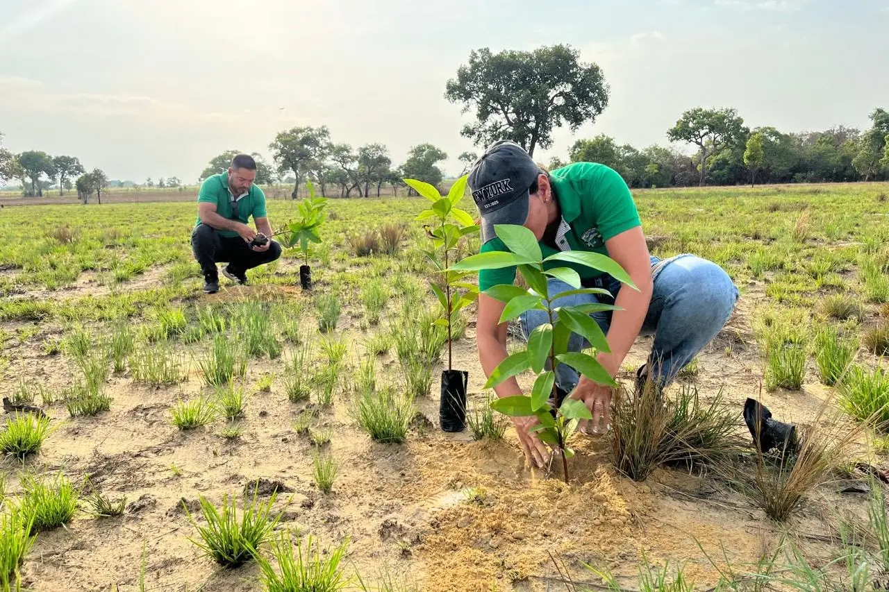 La iniciativa busca avanzar en la declaratoria del predio Los Robles como reserva natural y fortalecer la biodiversidad regional.