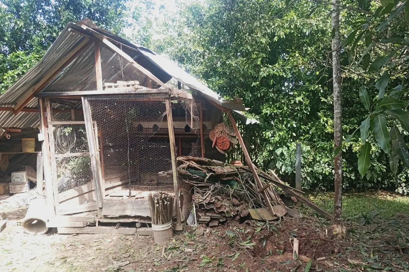 El artefacto explotó cerca del gallinero de una familia en Fortul Arauca.