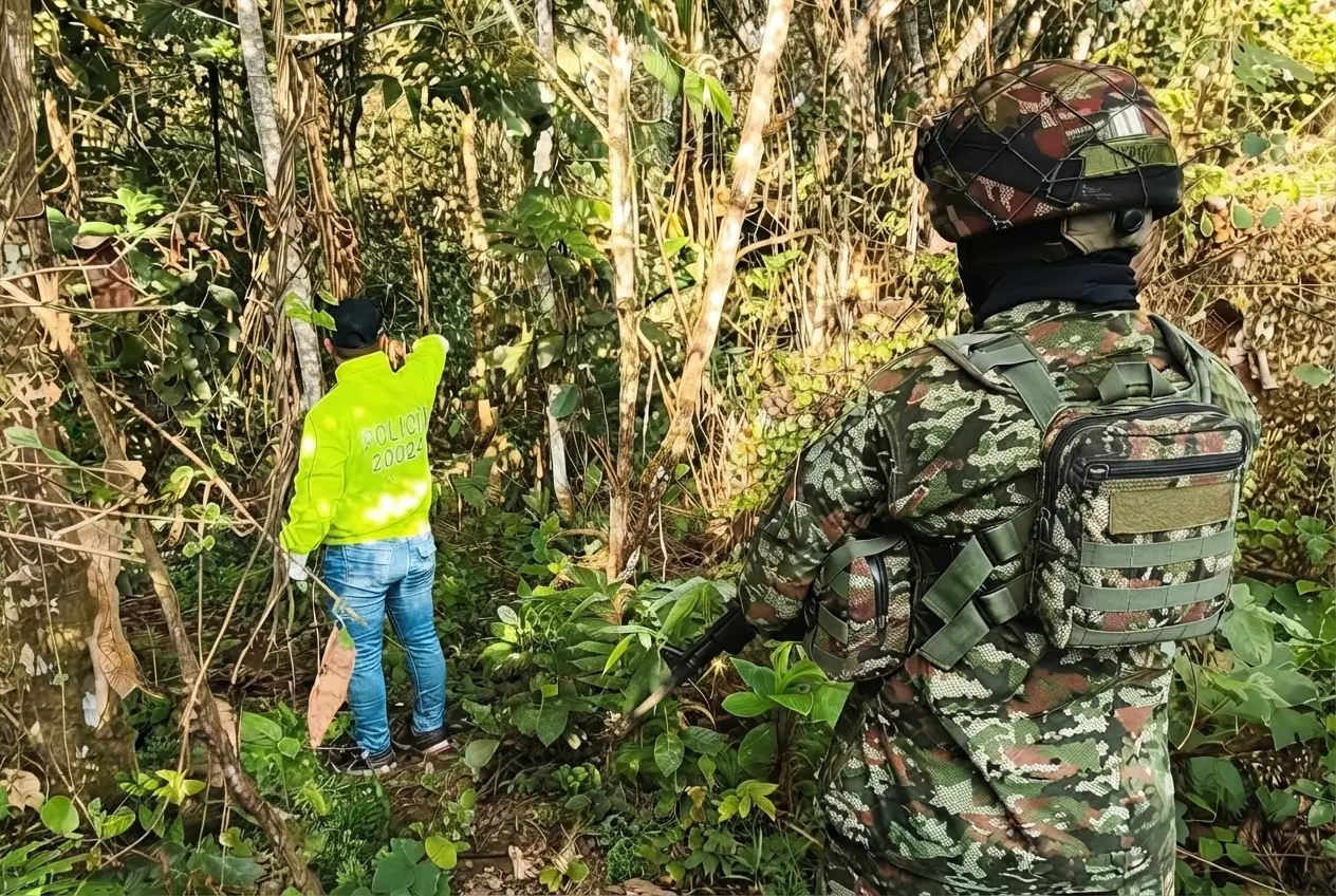 Operativo del Ejército Nacional