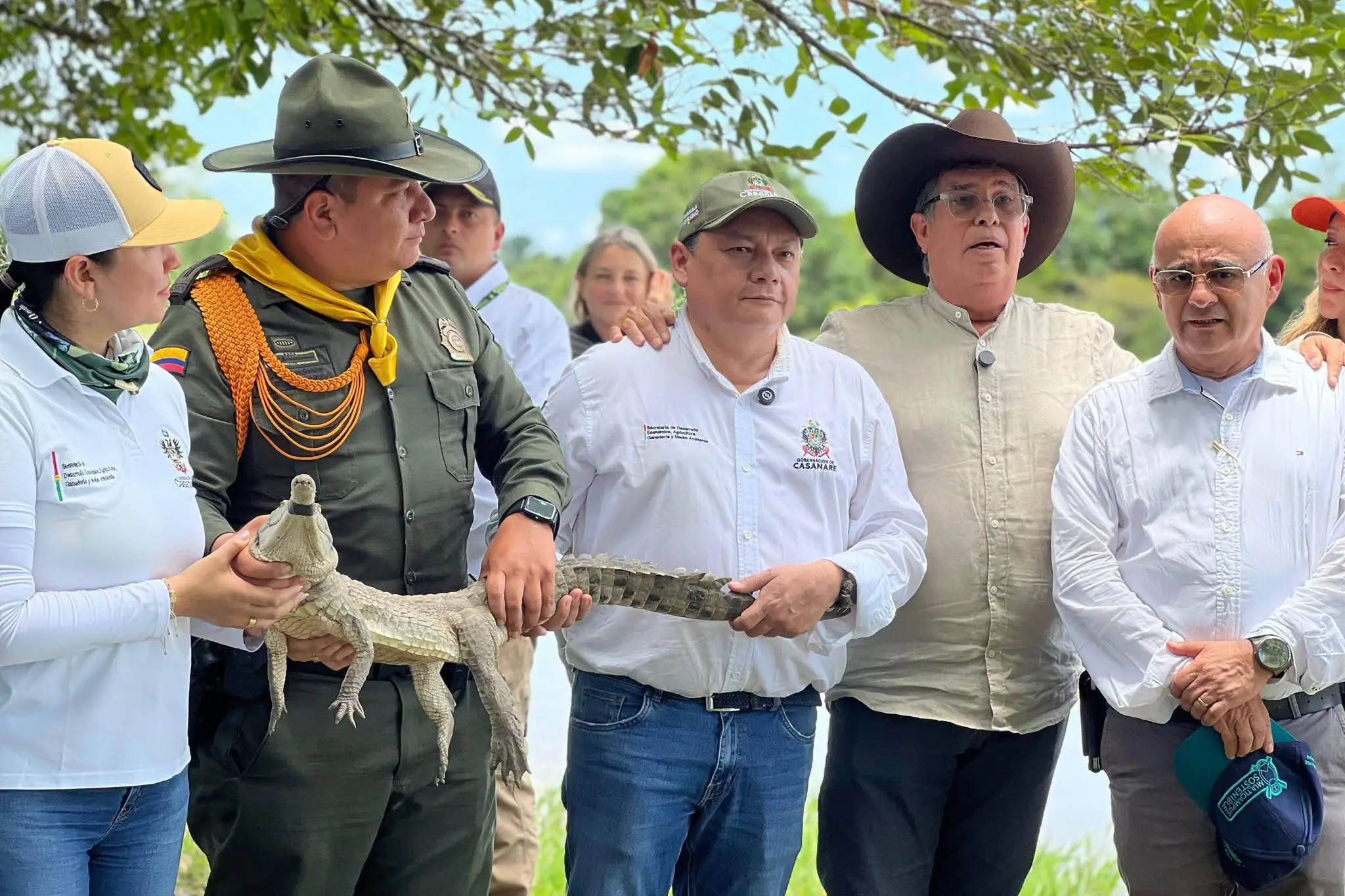 El ministro de Ambiente, Fabio Arjona, destacó la importancia de fortalecer los programas de reproducción para evitar la desaparición del cocodrilo del Orinoco.