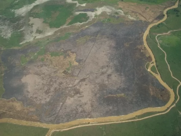 <p>Sectores destruidos por los incendios. Foto: Lig&iacute;a Pinz&oacute;n.</p>