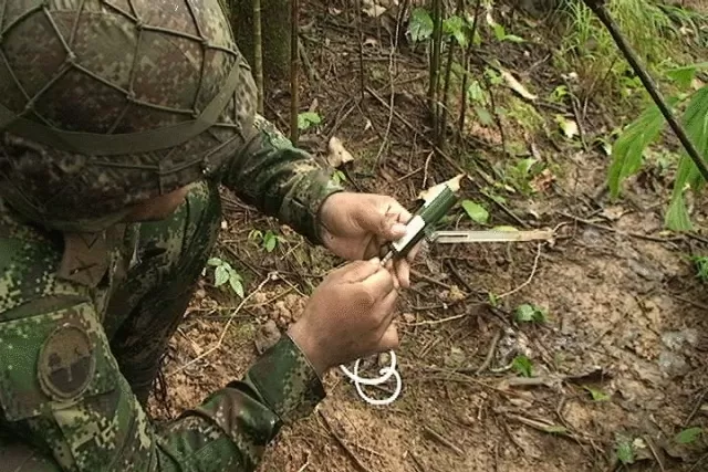 La selvas del departamento de Arauca continúan siendo sembradas minas antipersonales por grupos ilegales, como se demuestra en la desactivación de un campo minado en el área rural de Tame. 