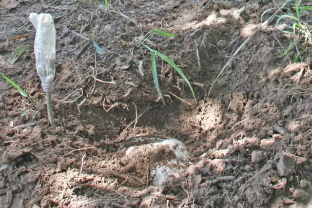 Cada artefacto contenía cuarenta kilos de metralla, polvora negra y explosivo anfo.