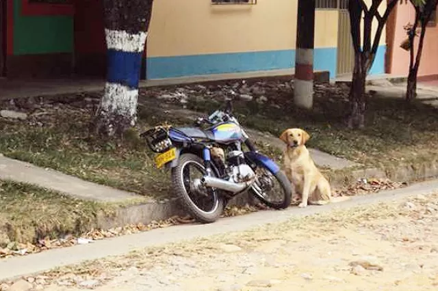 Un perro confirmó la presencia de elementos explosivos.