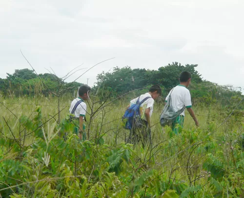 <p>Los ni&ntilde;os desplazados en Arauca&nbsp;no perder&aacute;n clases.</p>