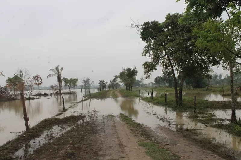 El desbordamiento del río Caranal ha generado inundaciones en la zona rural del municipio de Arauquita, las autoridades indicaron que unas 900 familias se han visto afectadas.
