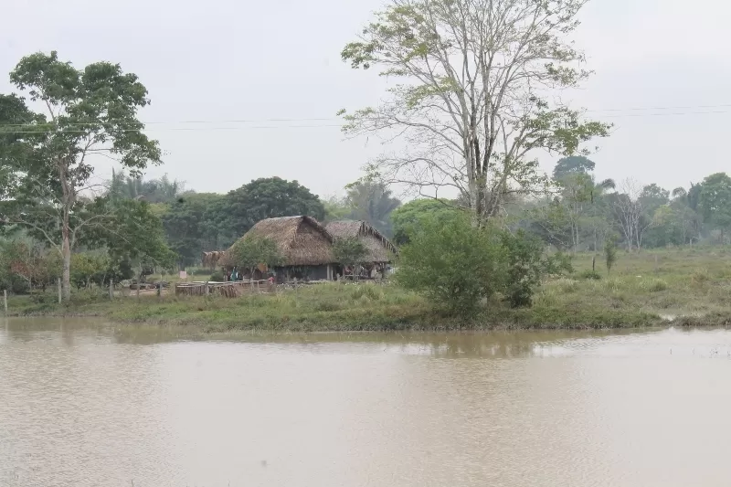900 familias se verían afectadas por las inundación inesperada, en la zona rural de Arauquita no ha caído un aguacero en los tres últimos meses. Las aguas bajan de la cordillera Oriental.