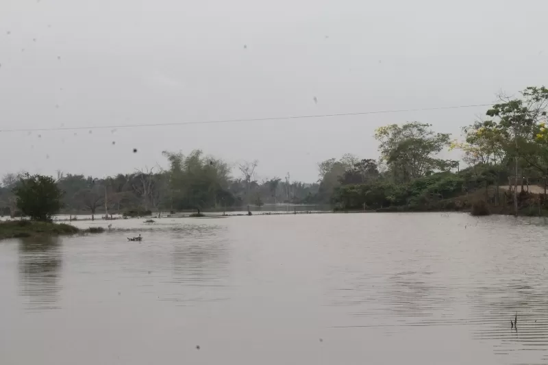Las autoridades de Arauquita presumen que la sedimentación del río Caranal y el vertimiento de los caños Cusay y Tigre han generado las inundaciones en las sabanas de este municipio araucano.