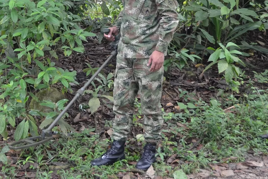 La Fuerza de Tarea Quirón, informó que sus tropas desactivaron explosivos en el área rural de los municipios de Arauquita y Fortul en el departamento de Arauca.