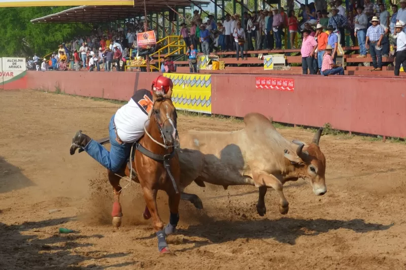 El coleador Elver Jaidi Rodríguez de Hato Corozal, Casanare fue el ganador del Quinto Latinoamericano de coleo que se realizó en Arauca.