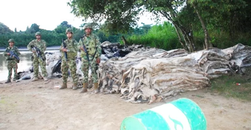 <p>Pieles incautadas por la Infanter&iacute;a de Marina.</p>